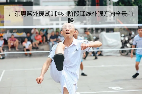 广东男篮外援试训冲刺阶段锋线补强方向全景前瞻（huida china）